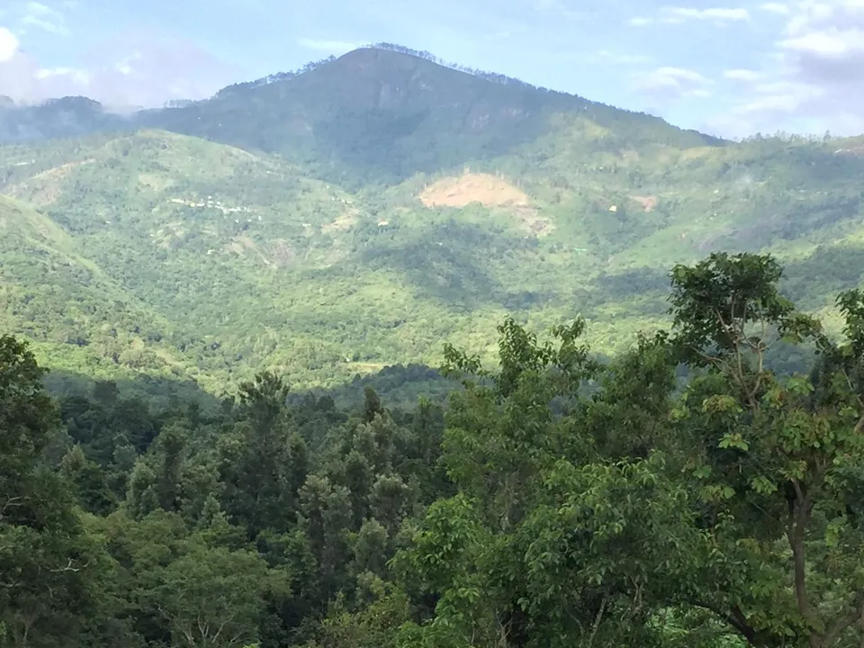 A forested mountain under a blue sky, seen across the valley over the treetops