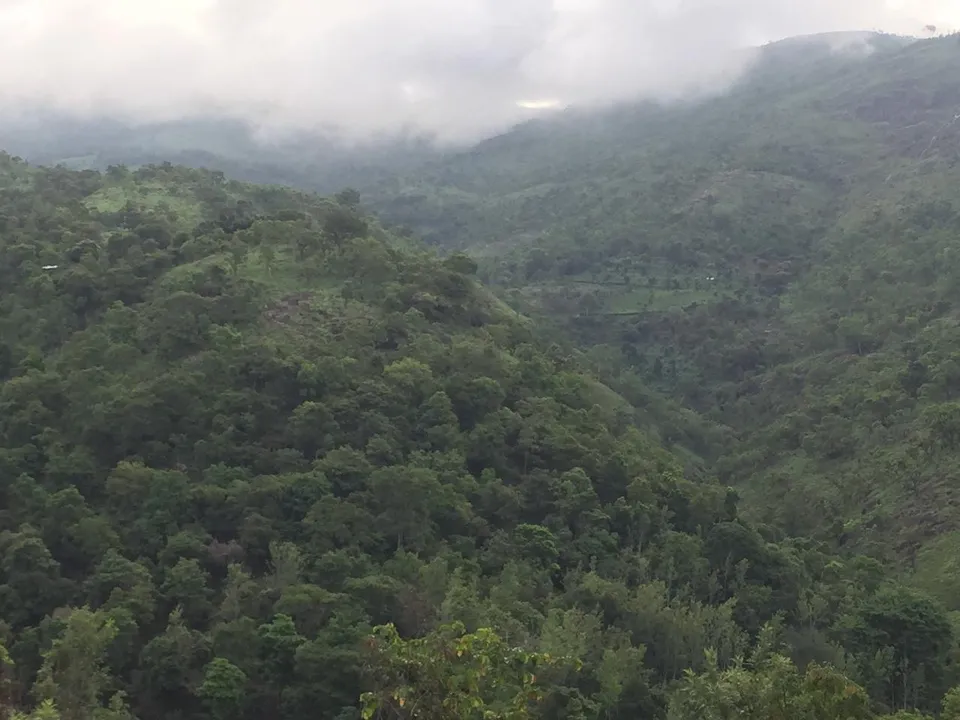 Cloud settling over a deep forested valley
