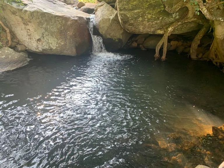A small waterfall spilling between mossy boulders into a clear, dark rock pool